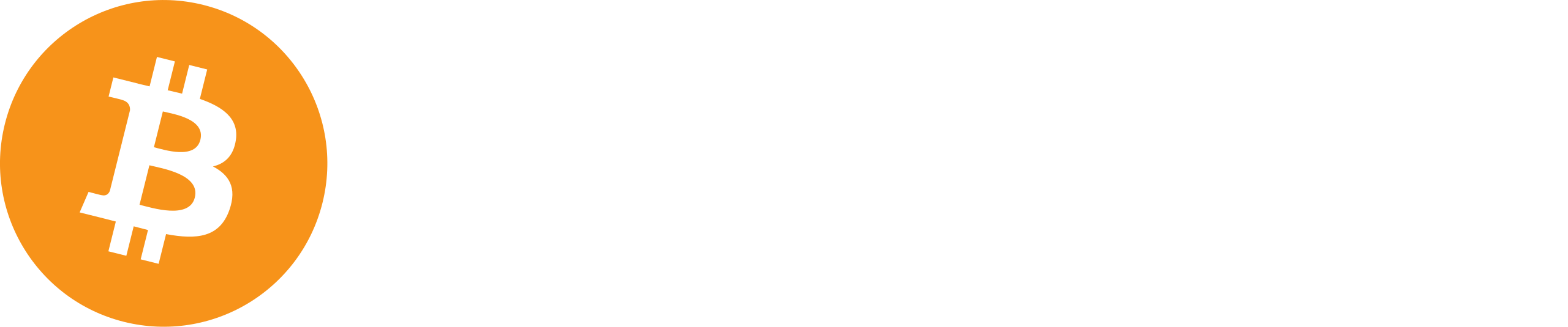 White Logo